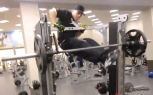 Muscle Ups in on Gym Equipment