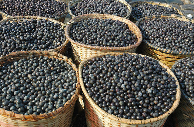 Acai berries