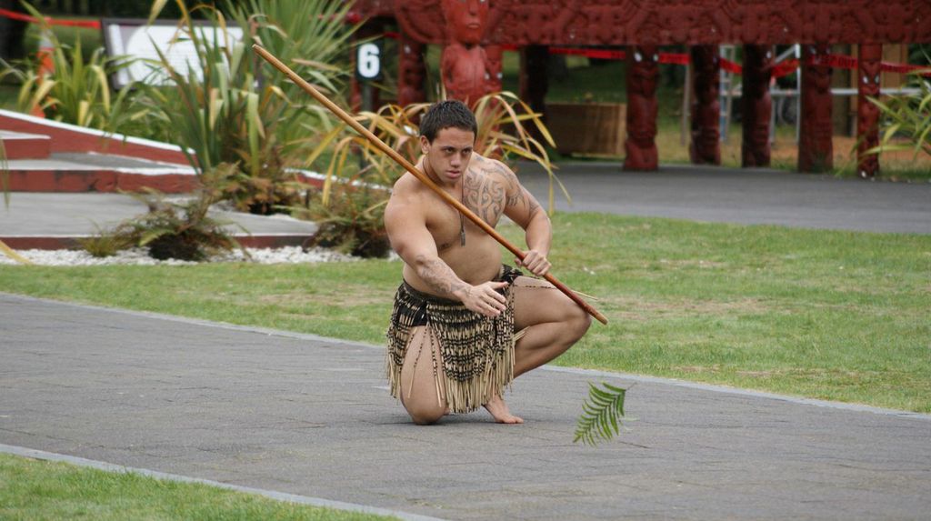Tikfit Guided Tours New Zealand