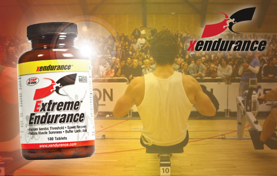 Interview: Sandy Kellin From Xendurance