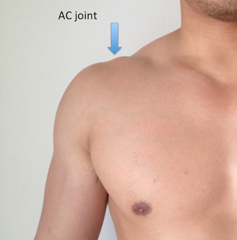 Anatomy of AC Joint