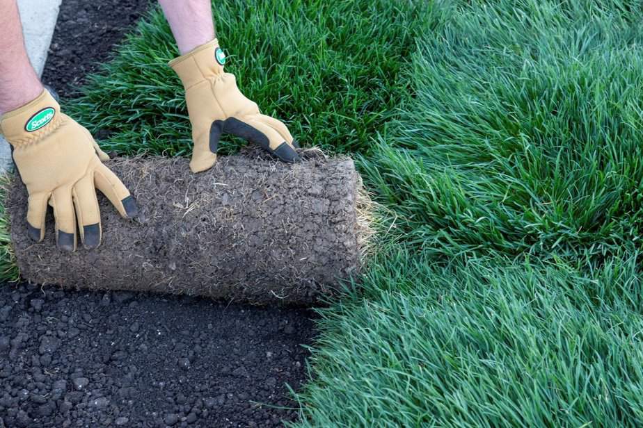 How To Lay Sod Over Existing Grass A Step By Step Guide